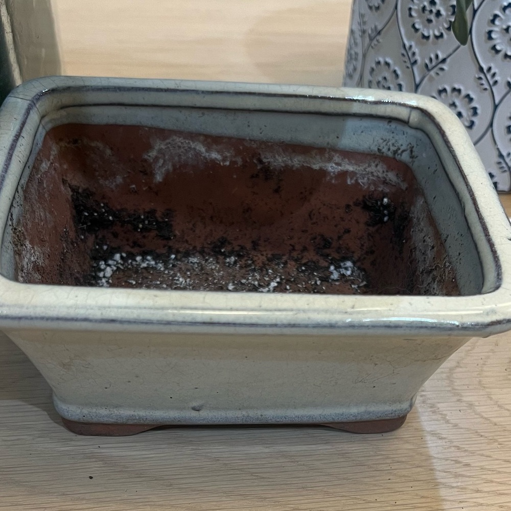 Little Pot